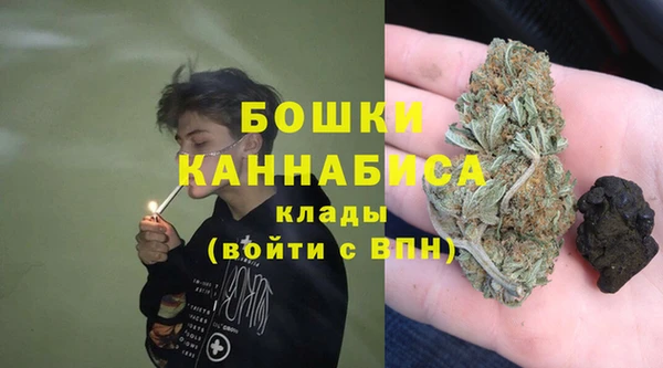 PSILOCYBIN Протвино