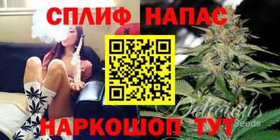 МДПВ Абинск